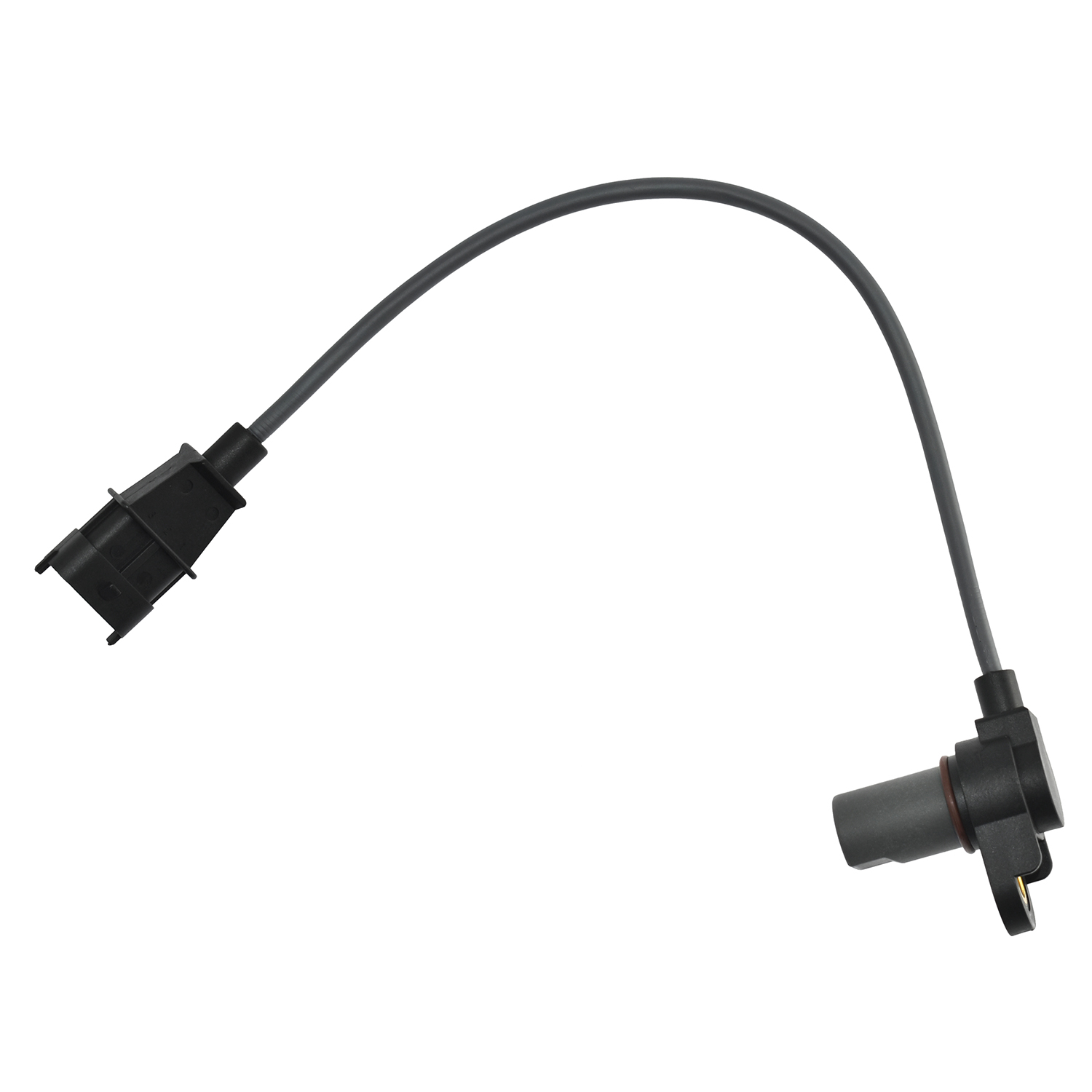 Camshaft Position Sensor PW811314 angle 11
